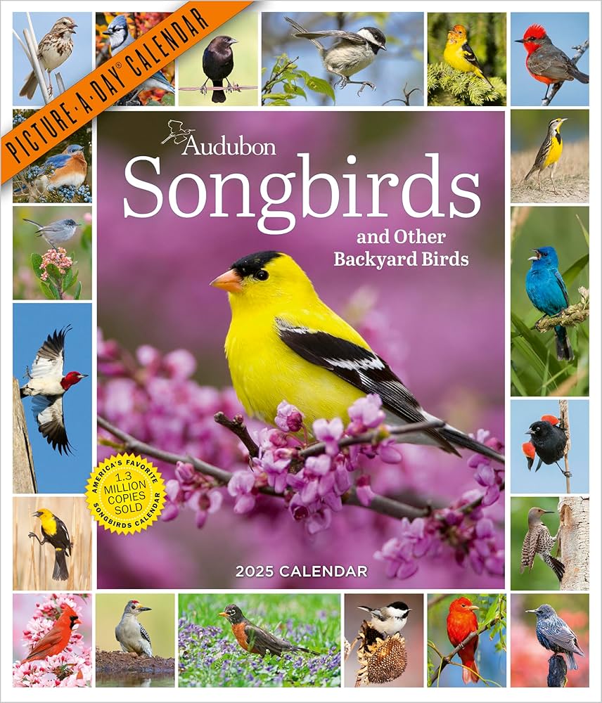 Audubon Songbirds And Other Backyard Birds Picture-A-Day Wall Calendar 2025 - Na 9781523526314