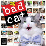 Bad Cat Wall Calendar 2025 - Prichett. Harry 9781523526321