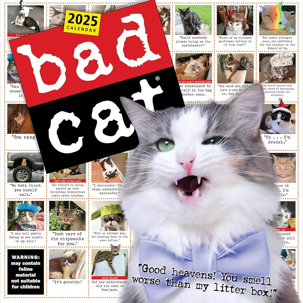 Bad Cat Wall Calendar 2025 - Prichett. Harry 9781523526321
