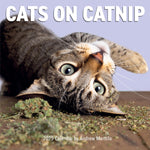 Cats On Catnip Wall Calendar 2025 - Marttila. Andrew 9781523526369
