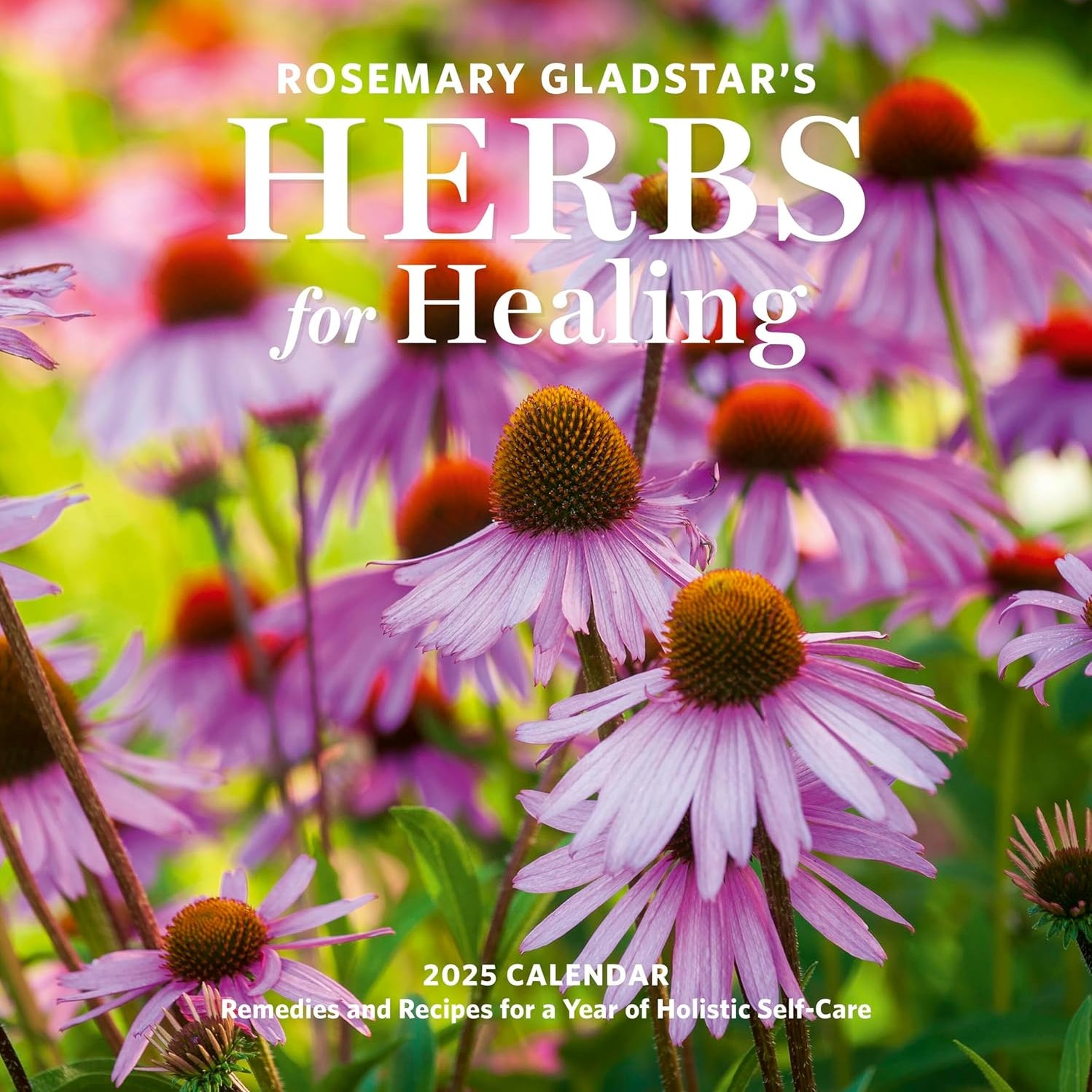 Rosemary Gladstar's Herbs For Healing Wall Calendar 2025 - Gladstar. Rosemary 9781523526666_f75028fd-7d52-487a-b838-357c29d6256e