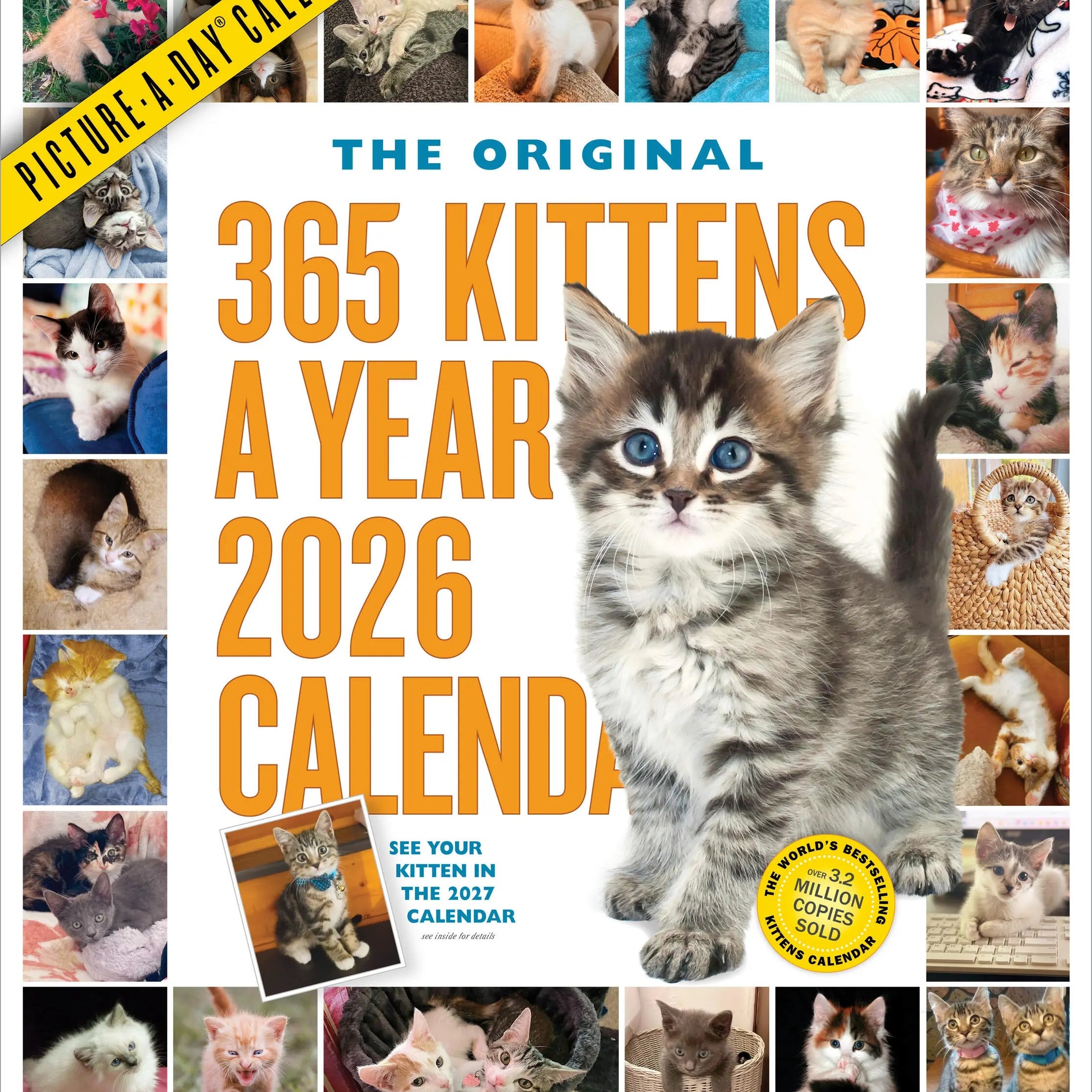 365 Kittens-A-Year Picture-A-Day® Wall Calendar 2026 9781523530427
