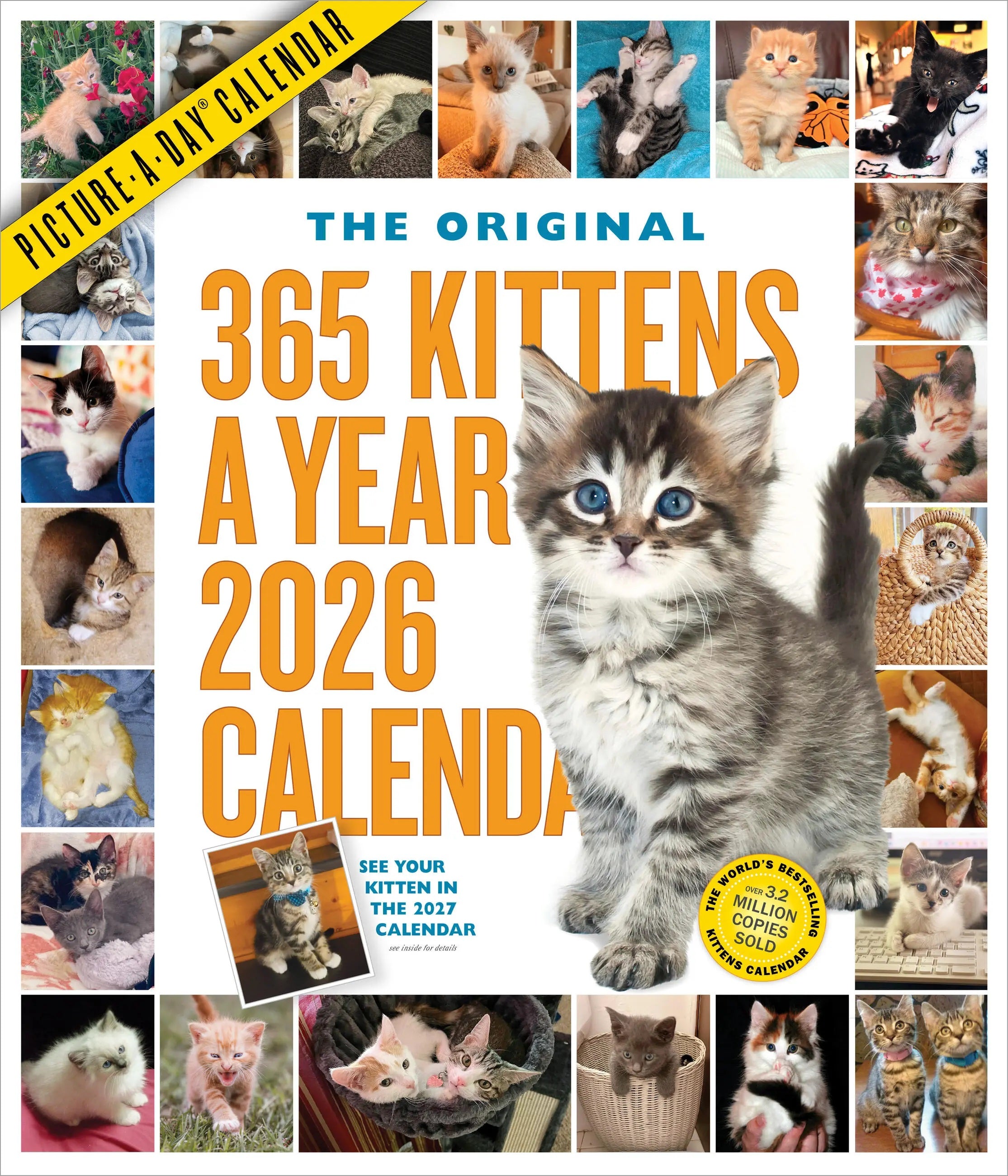 365 Kittens-A-Year Picture-A-Day® Wall Calendar 2026 9781523530427