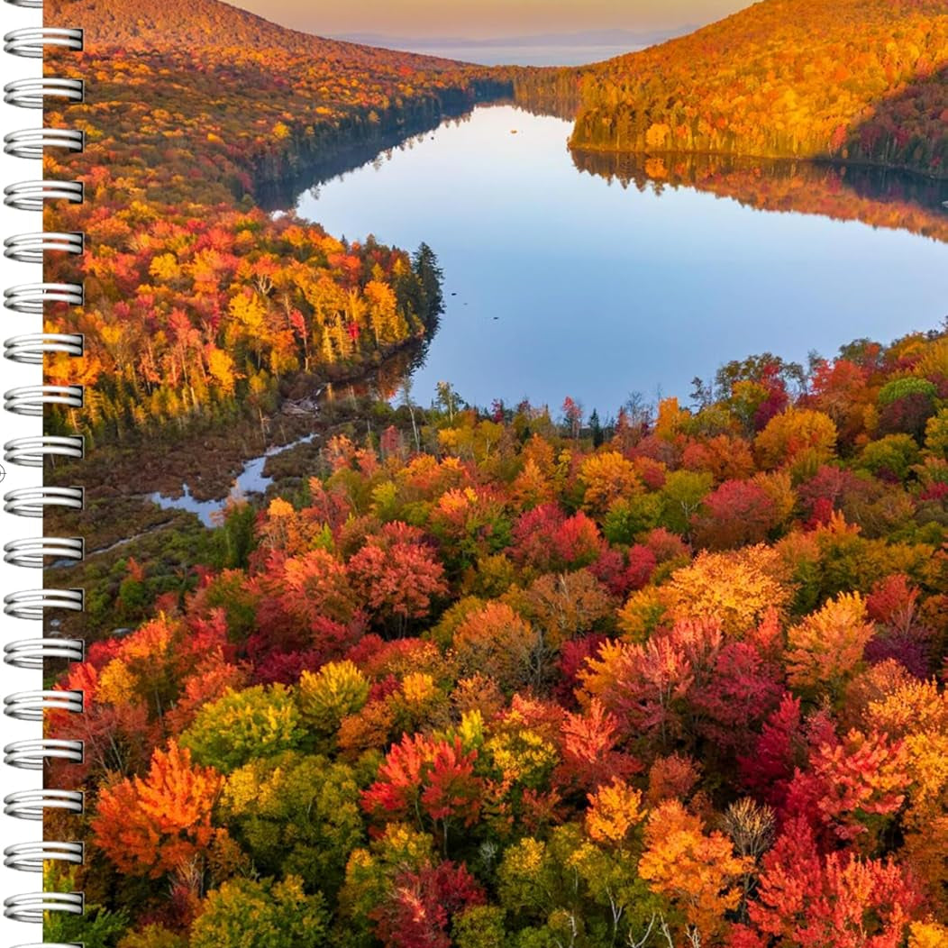 Audubon Engagement Calendar 2026 9781523530595