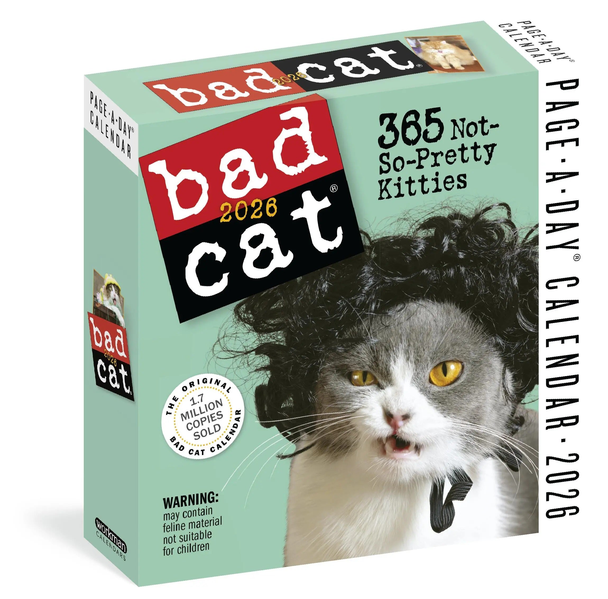 Bad Cat Page-A-Day® Calendar 2026 9781523530601