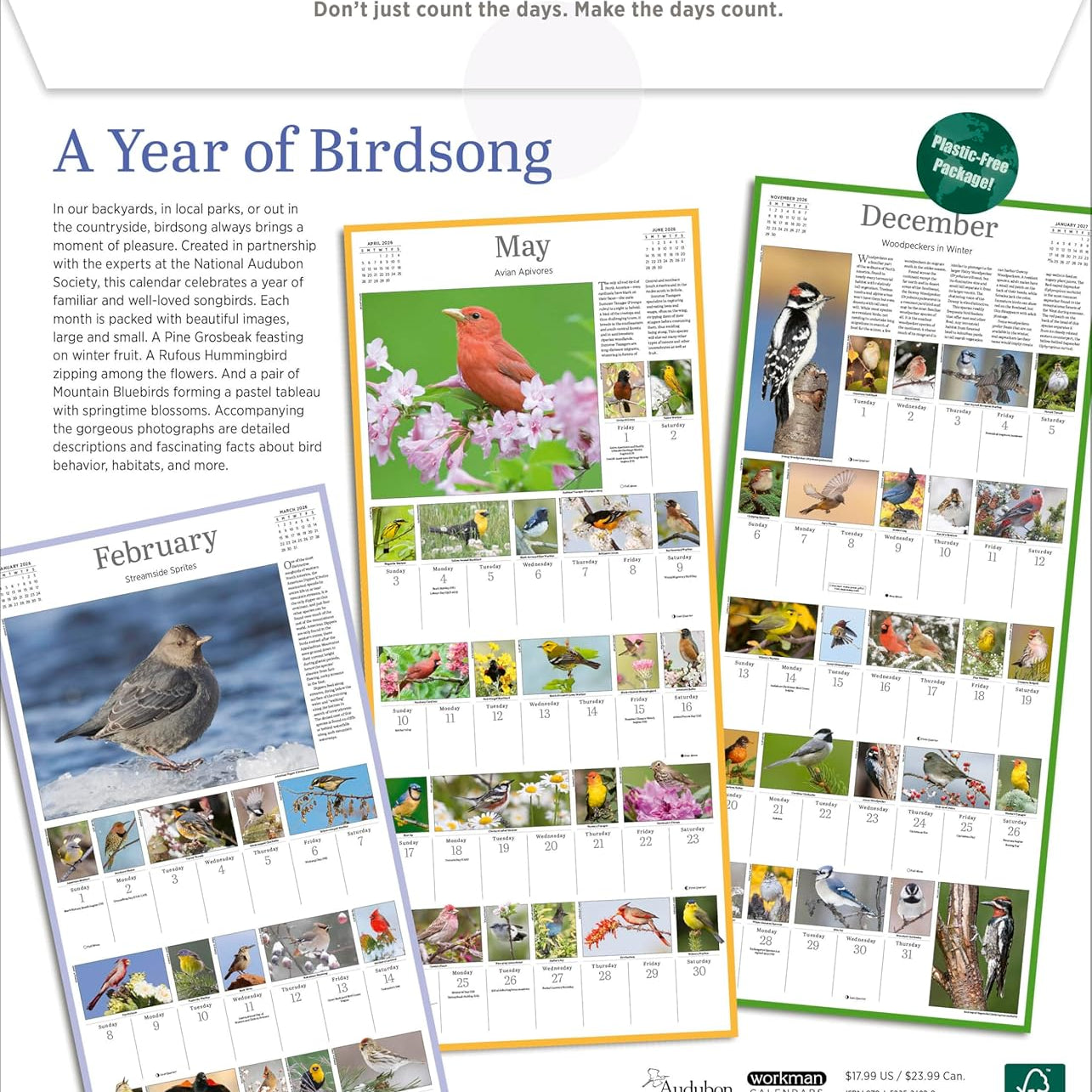 Audubon Songbirds And Other Backyard Birds Picture-A-Day® Wall Calendar 2026 9781523531028_1