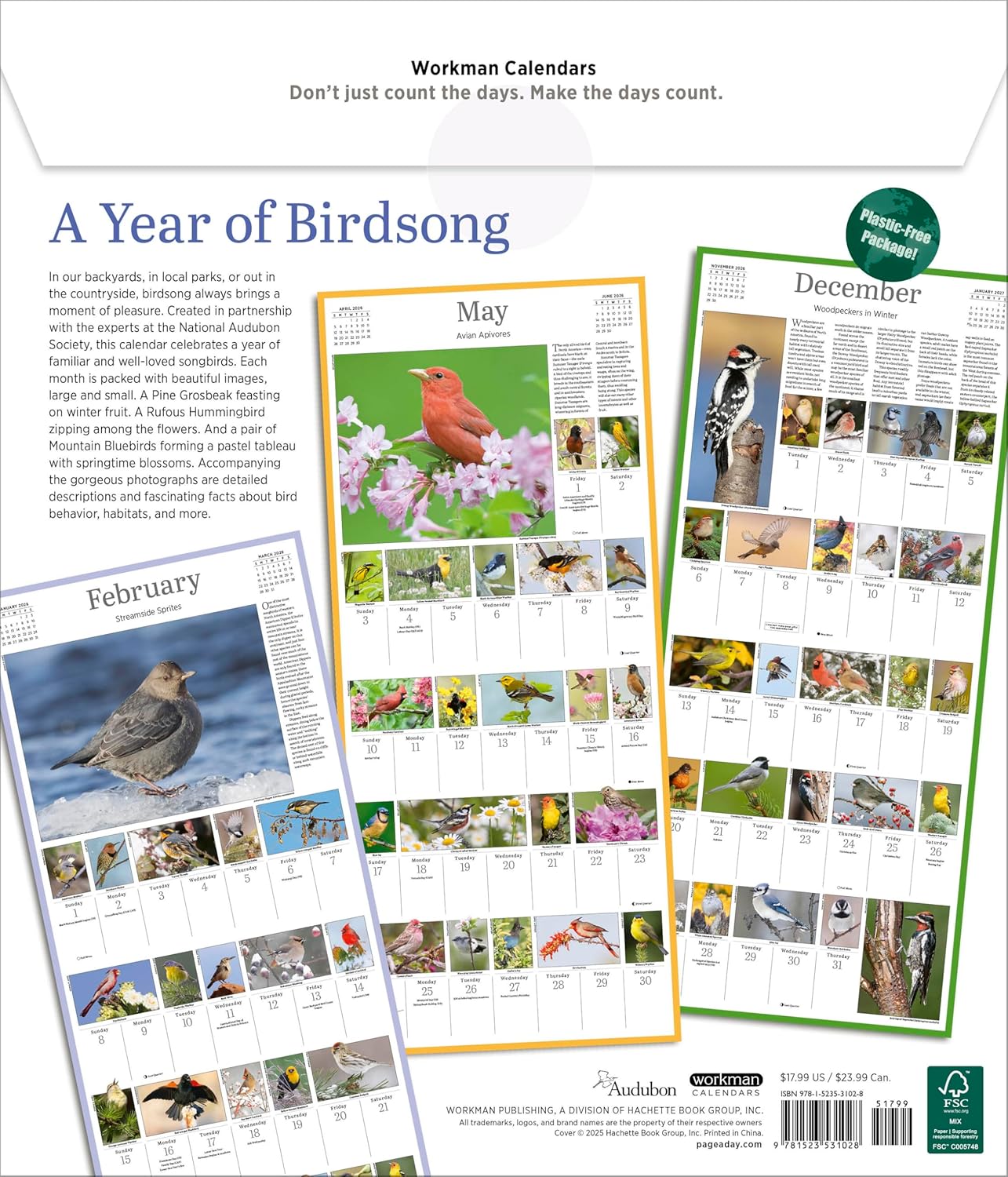 Audubon Songbirds And Other Backyard Birds Picture-A-Day® Wall Calendar 2026 9781523531028_1