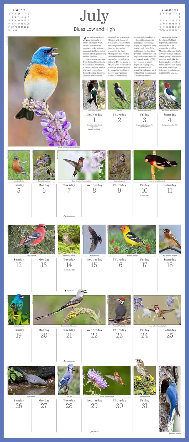 Audubon Songbirds And Other Backyard Birds Picture-A-Day® Wall Calendar 2026 9781523531028_2