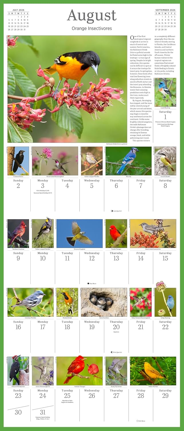 Audubon Songbirds And Other Backyard Birds Picture-A-Day® Wall Calendar 2026 9781523531028_3