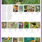 Audubon Songbirds And Other Backyard Birds Picture-A-Day® Wall Calendar 2026 9781523531028_4