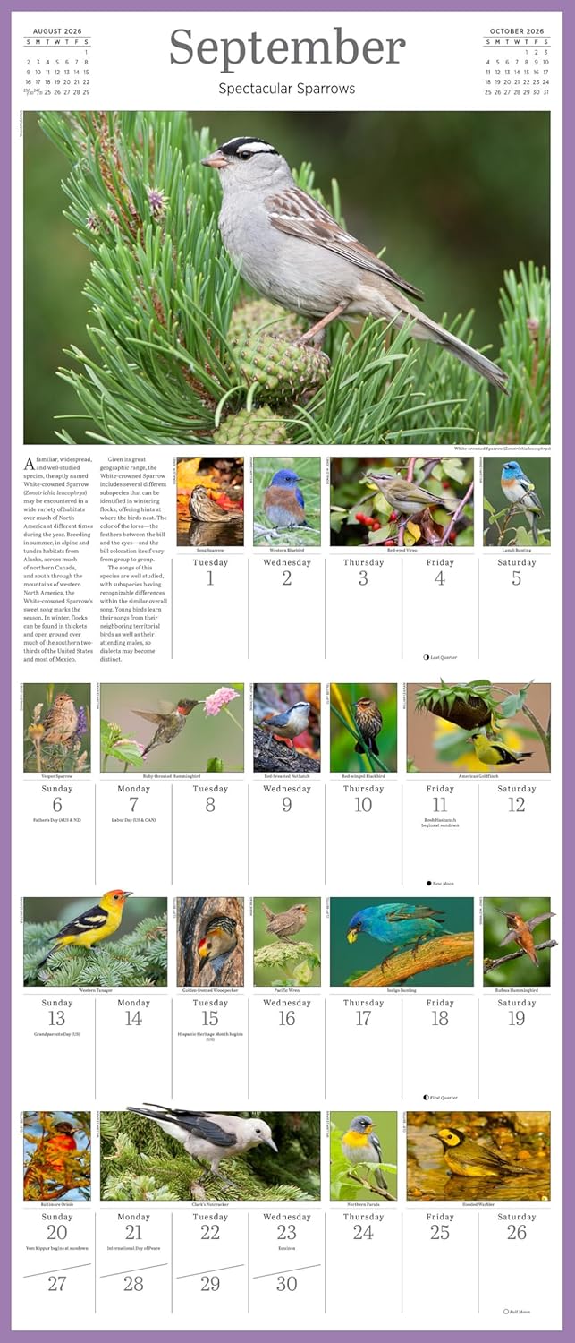 Audubon Songbirds And Other Backyard Birds Picture-A-Day® Wall Calendar 2026 9781523531028_4