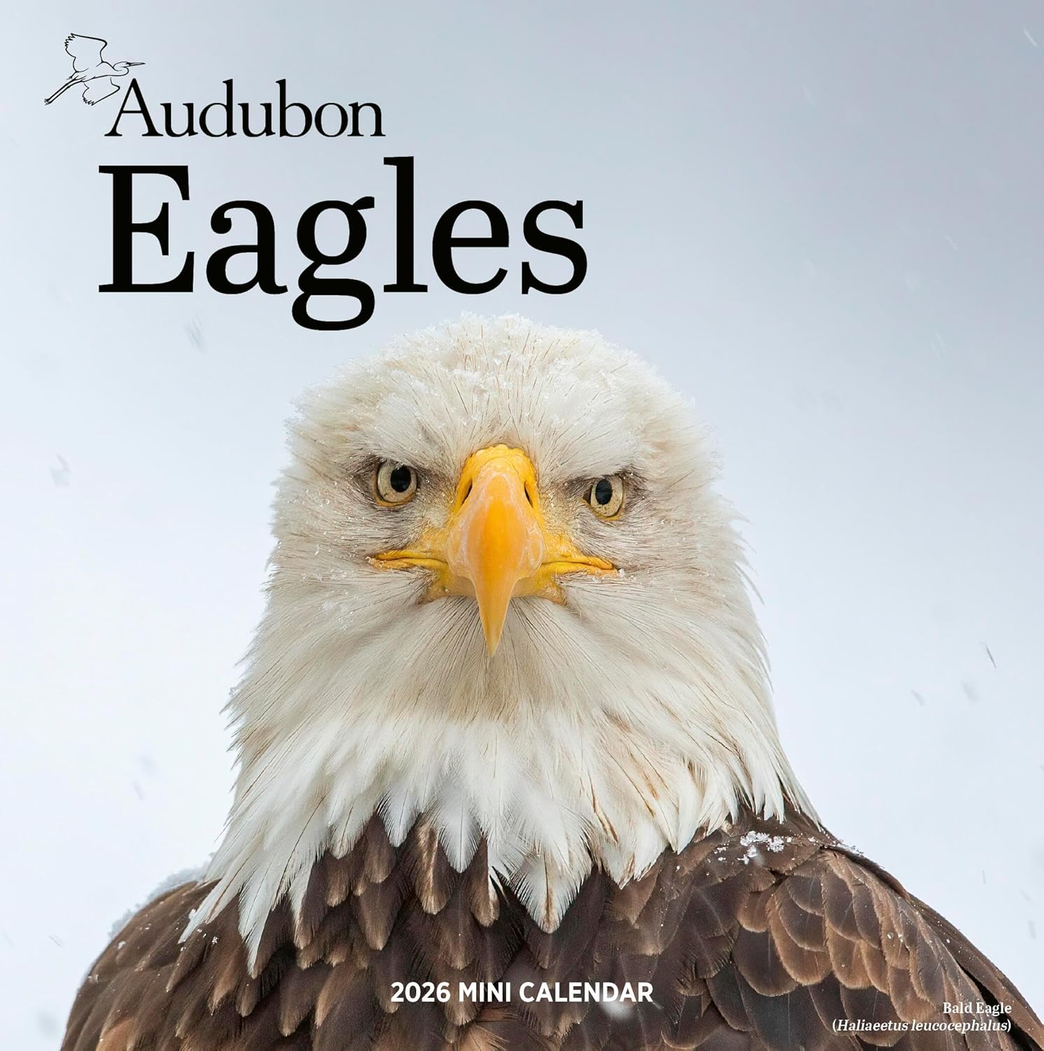 Audubon Eagles Mini Wall Calendar 2026 9781523531080