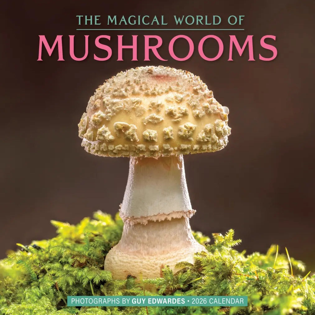 The Magical World Of Mushrooms Wall Calendar 2026 9781523531134
