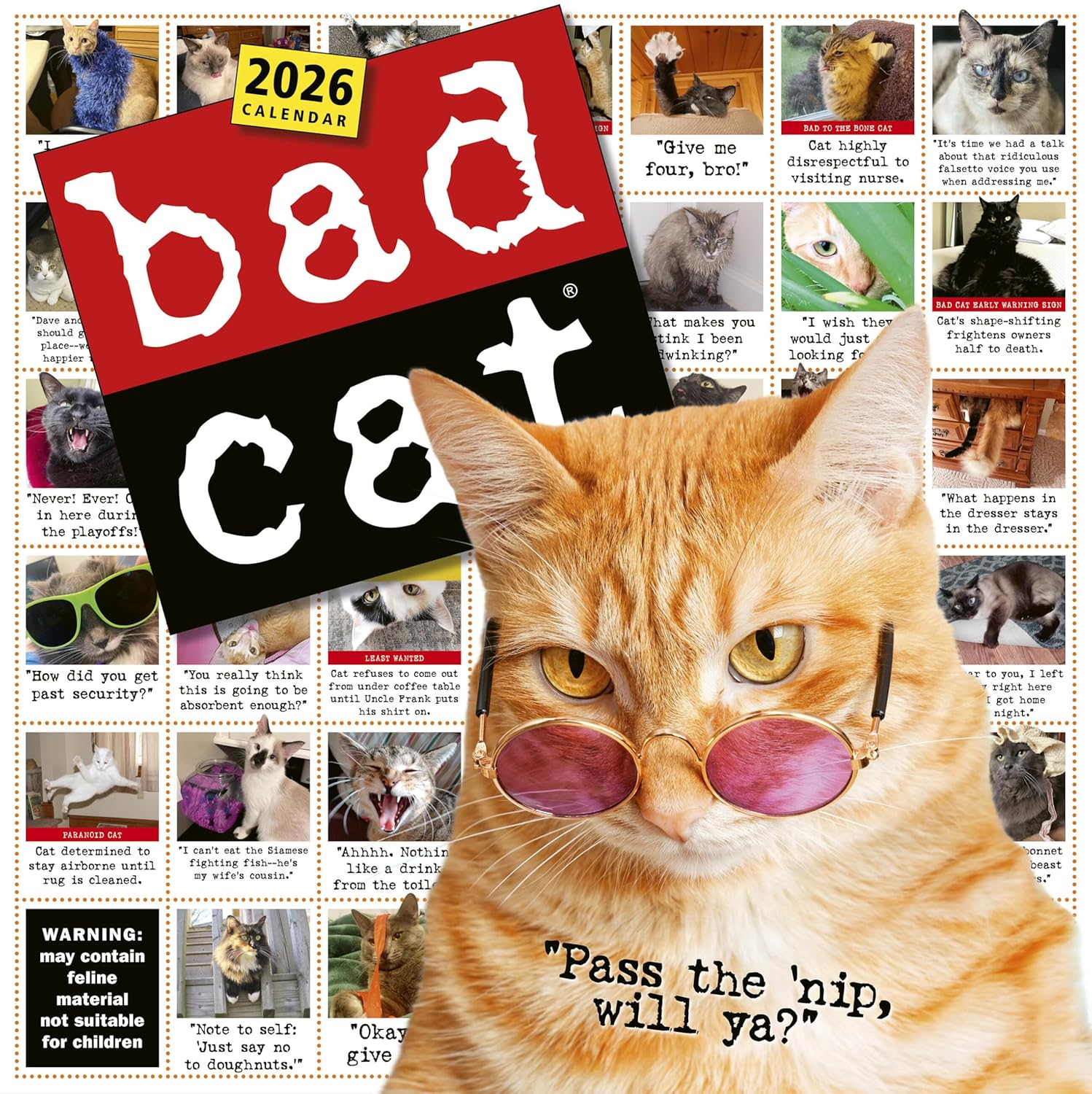 Bad Cat Wall Calendar 2026 9781523531219_36816025-832b-4026-af04-a4a4c48bff95