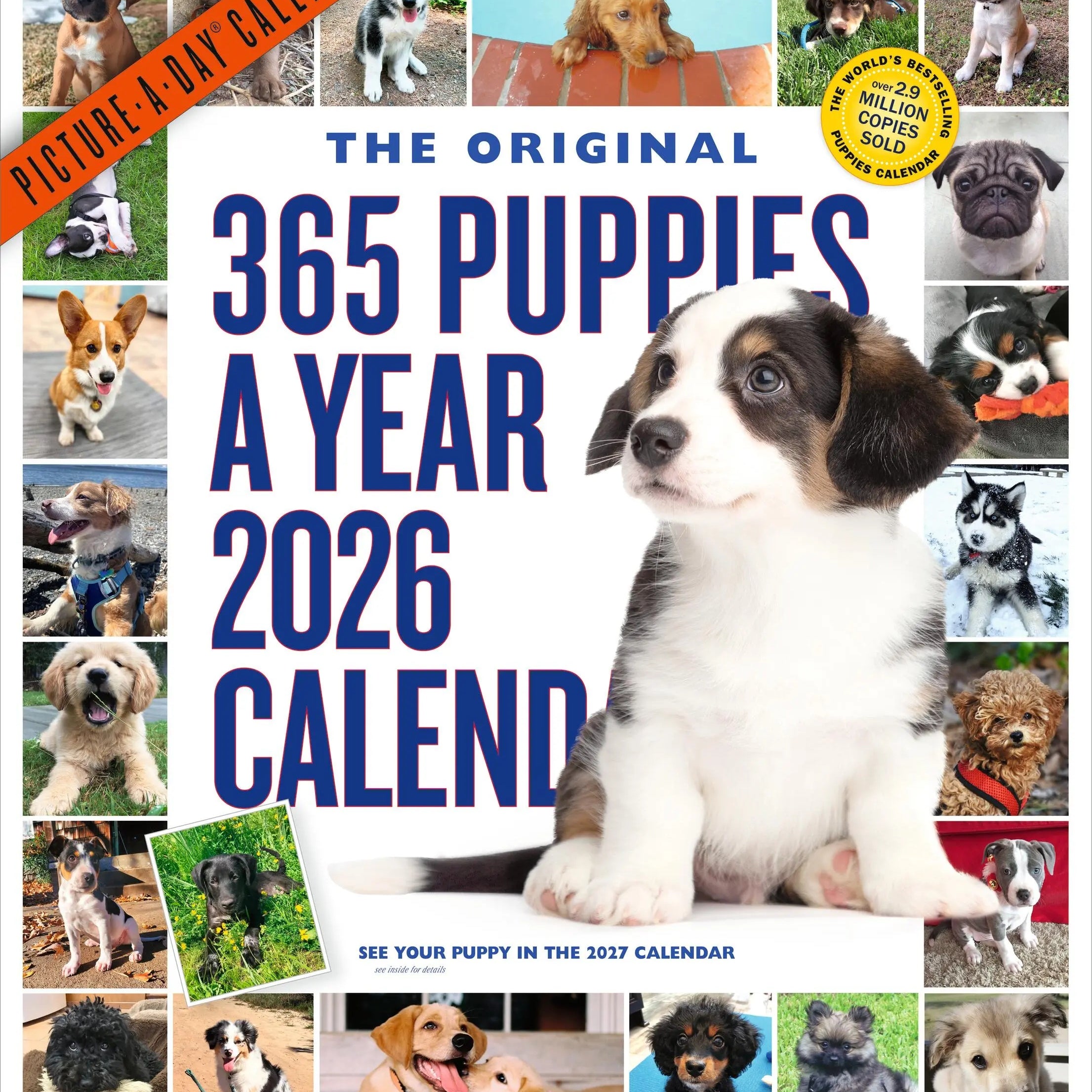 365 Puppies-A-Year Picture-A-Day® Wall Calendar 2026 9781523531332