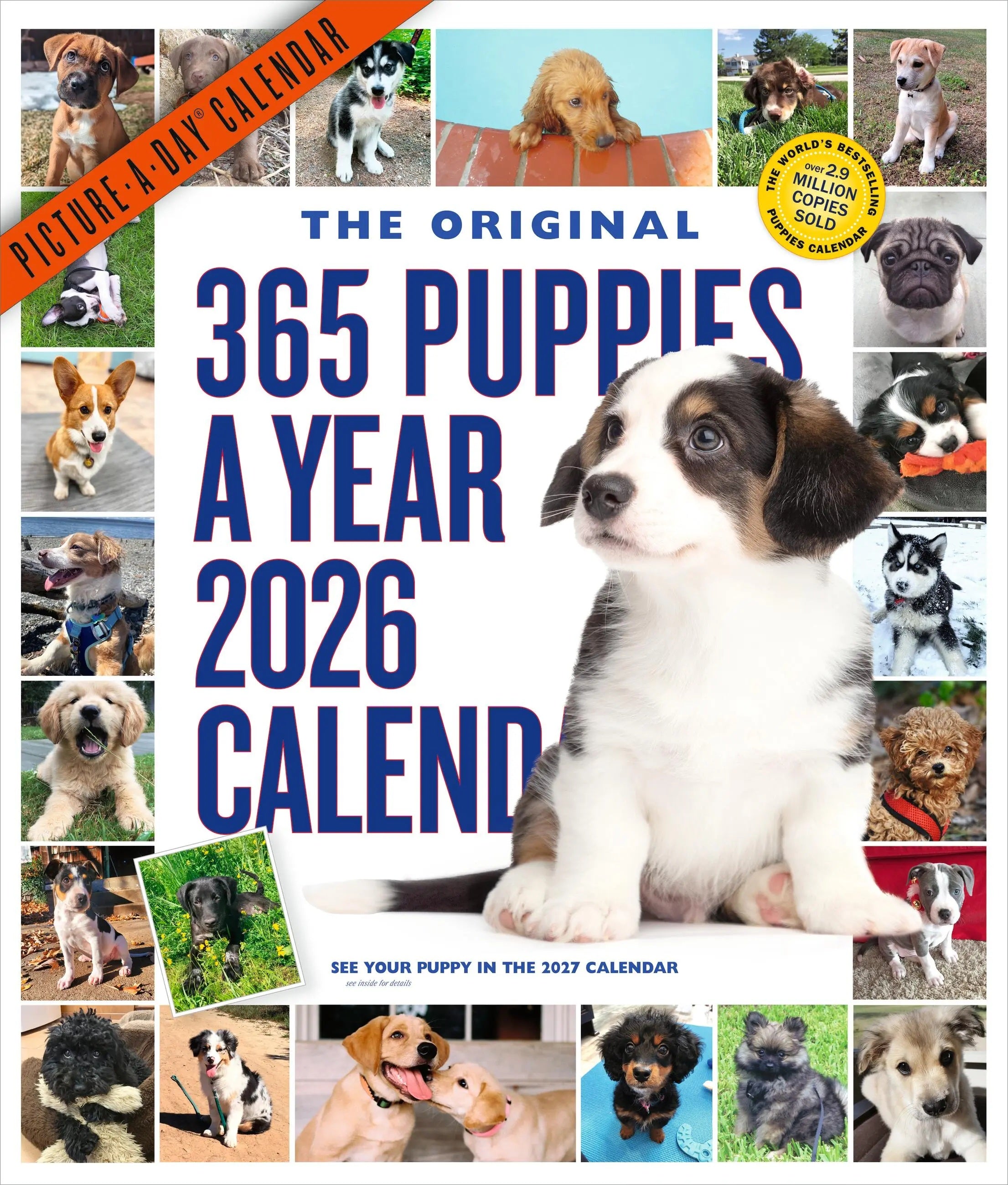 365 Puppies-A-Year Picture-A-Day® Wall Calendar 2026 9781523531332