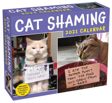 CAT SHAMING 2021 DAY-TO-DAY CALENDAR 9781524856984_c8102e38-3764-4df7-bffe-866ed9e27f75