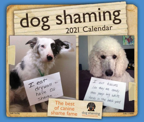 DOG SHAMING 2021 DAY-TO-DAY CALENDAR 9781524857141_6d938d74-66eb-4950-bed2-e05975715501