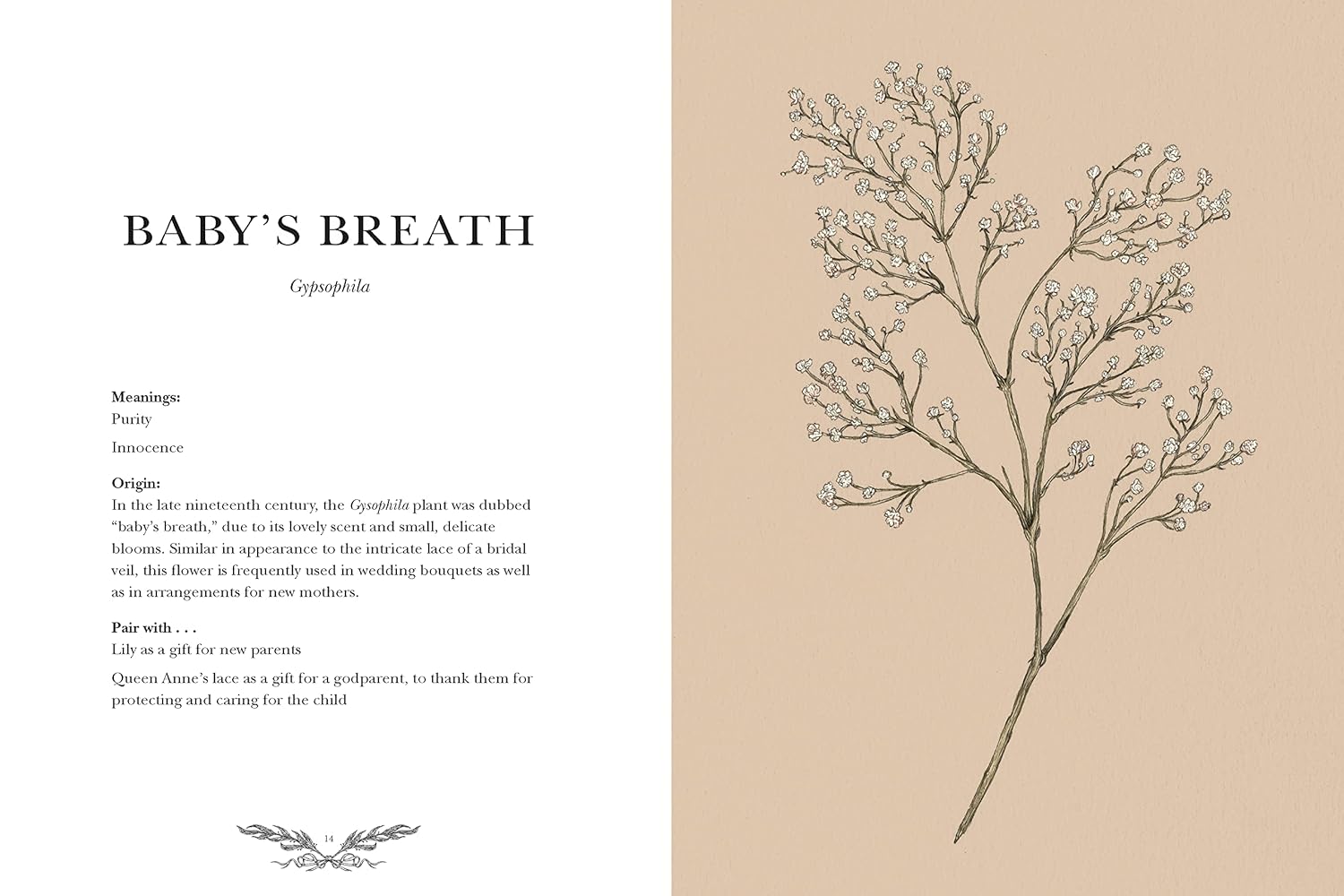 Floriography: An Illustrated Guide To The Victorian Language Of Flowers- Roux. J 9781524858148_2
