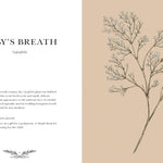 Floriography: An Illustrated Guide To The Victorian Language Of Flowers- Roux. J 9781524858148_2