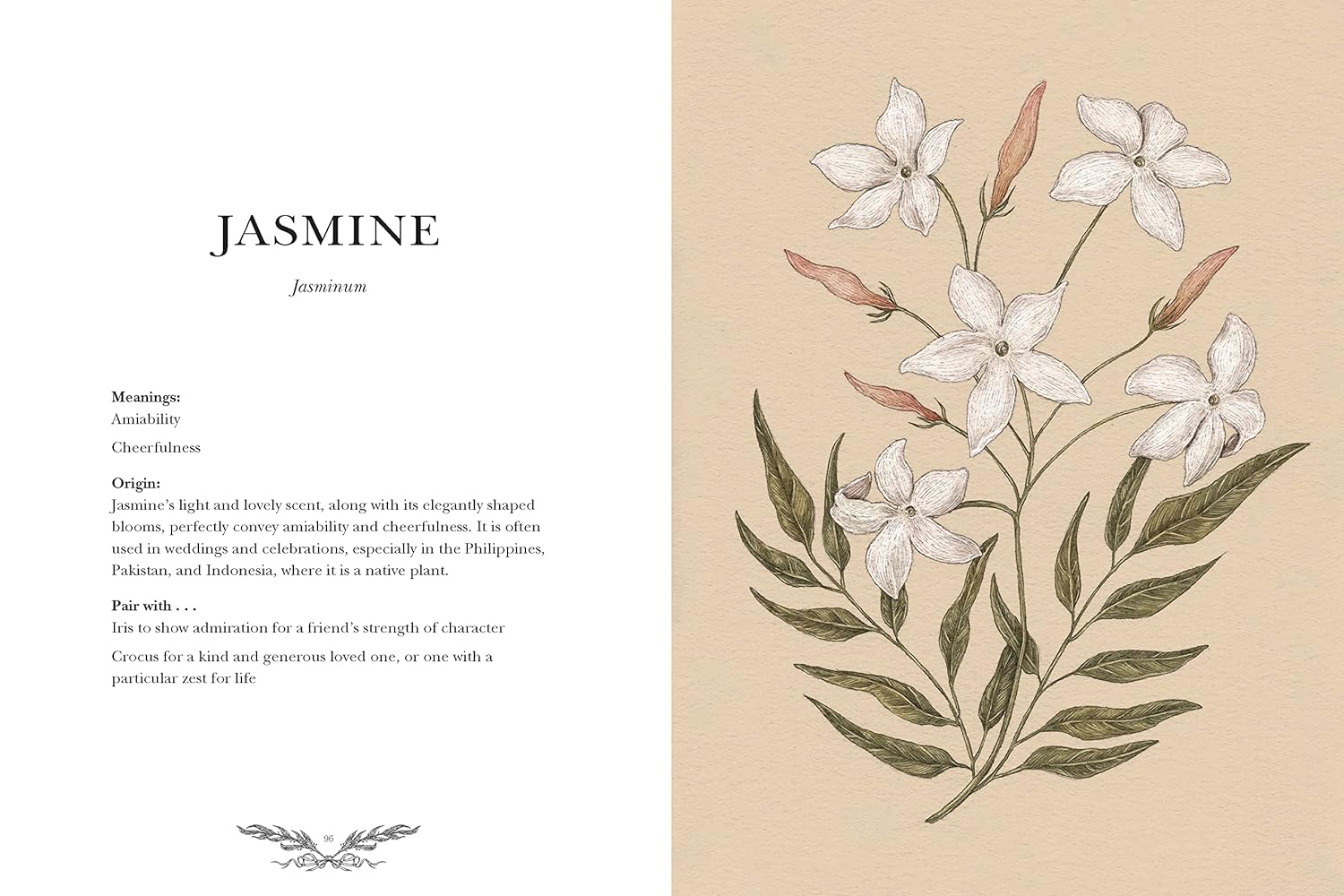 Floriography: An Illustrated Guide To The Victorian Language Of Flowers- Roux. J 9781524858148_3