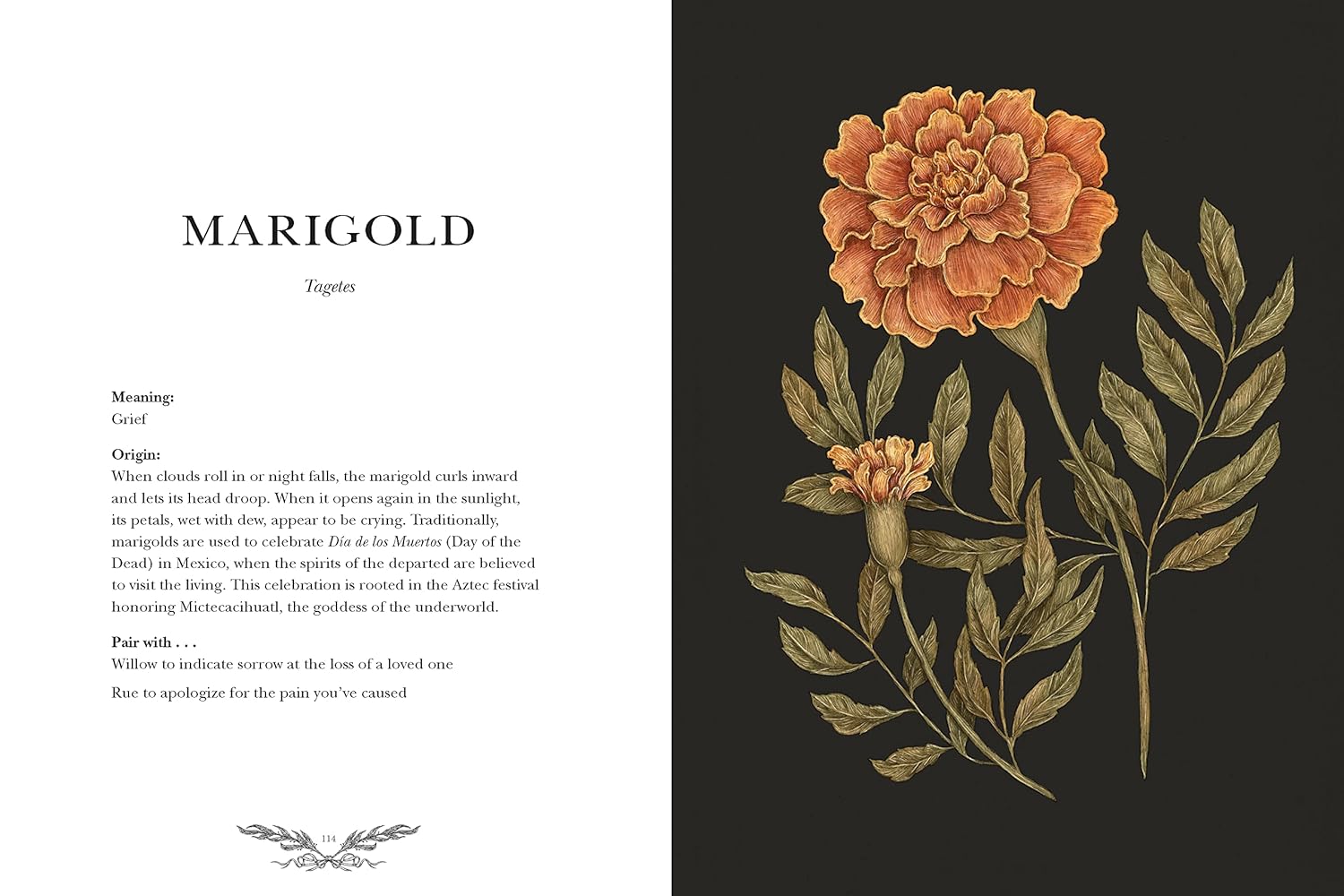 Floriography: An Illustrated Guide To The Victorian Language Of Flowers- Roux. J 9781524858148_4