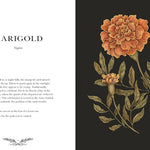 Floriography: An Illustrated Guide To The Victorian Language Of Flowers- Roux. J 9781524858148_4