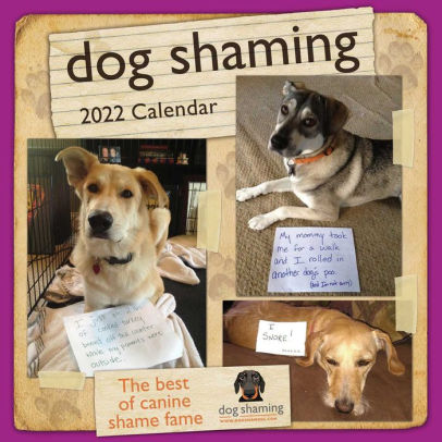 DOG SHAMING 2022 WALL CALENDAR 9781524863593_e5c79a76-7f8b-42fc-a026-49a2edcabf43