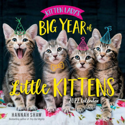 KITTEN LADY's BIG YEAR OF LITTLE KITTENS 2022 WALL 9781524867812_119c9783-58dd-47a6-a6de-011e84f4646c
