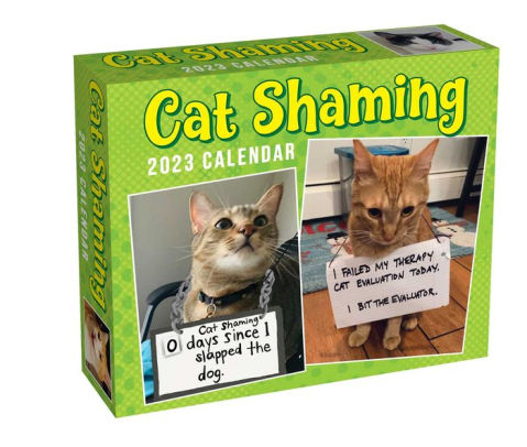 Cat Shaming 2023 Dtd Calendar - Andrews Mcmeel 9781524872731_fd03de70-ddbe-4780-a9c7-ae139e266fa5