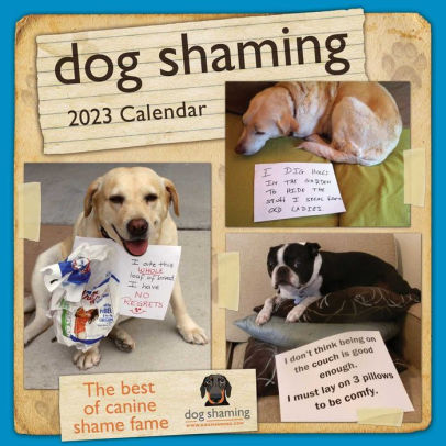 Dog Shaming 2023 Wall Calendar - Andrews Mcmeel 9781524872793_925972de-e611-478c-b1a4-0ff4a3135ccf