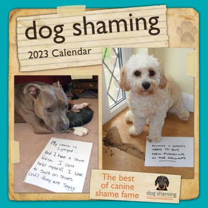 Dog Shaming 2023 Mini Wall Calendar - Andrews Mcmeel 9781524872816_25fb0d8c-a247-4e1e-9ba0-fd6b035f391c