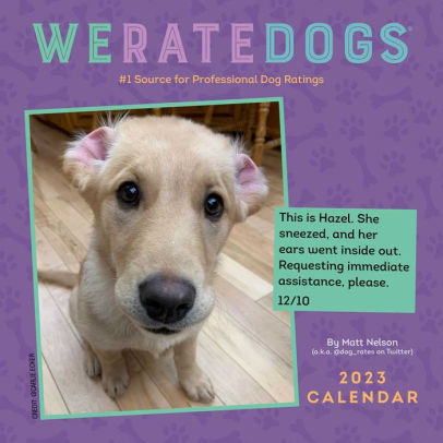 Weratedogs Mini Wall Calendar - Andrews Mcmeel 9781524873141_33cce6e9-09c3-4799-bebb-066c30e1db51