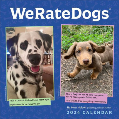 Weratedogs 2024 Wall Calendar - Nelson. Matt 9781524880415_490ffe82-97c6-4e52-b108-3f4d57882f7b