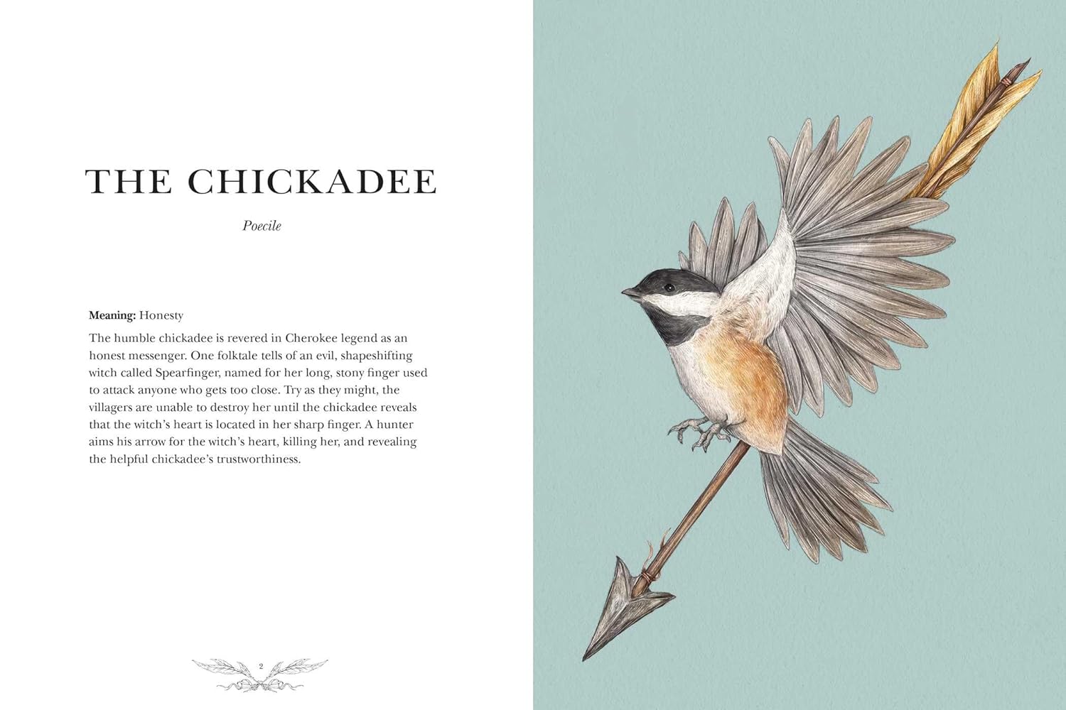 Ornithography: An Illustrated Guide To Bird Lore & Symbolism by Roux. Jessica 9781524888770_2