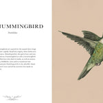 Ornithography: An Illustrated Guide To Bird Lore & Symbolism by Roux. Jessica 9781524888770_4
