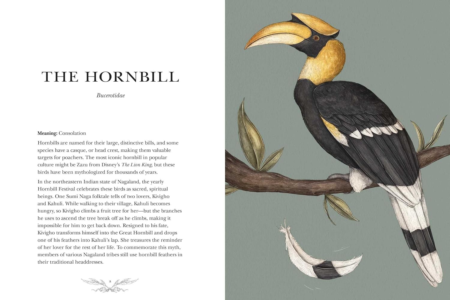 Ornithography: An Illustrated Guide To Bird Lore & Symbolism by Roux. Jessica 9781524888770_5