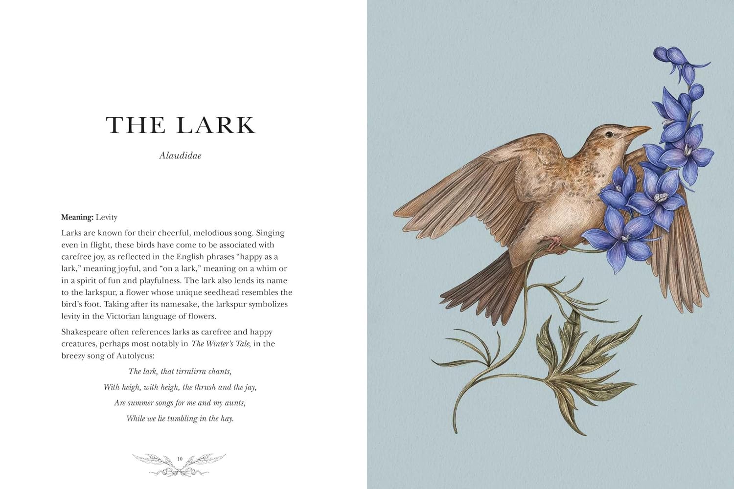Ornithography: An Illustrated Guide To Bird Lore & Symbolism by Roux. Jessica 9781524888770_6