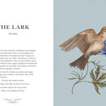 Ornithography: An Illustrated Guide To Bird Lore & Symbolism by Roux. Jessica 9781524888770_6