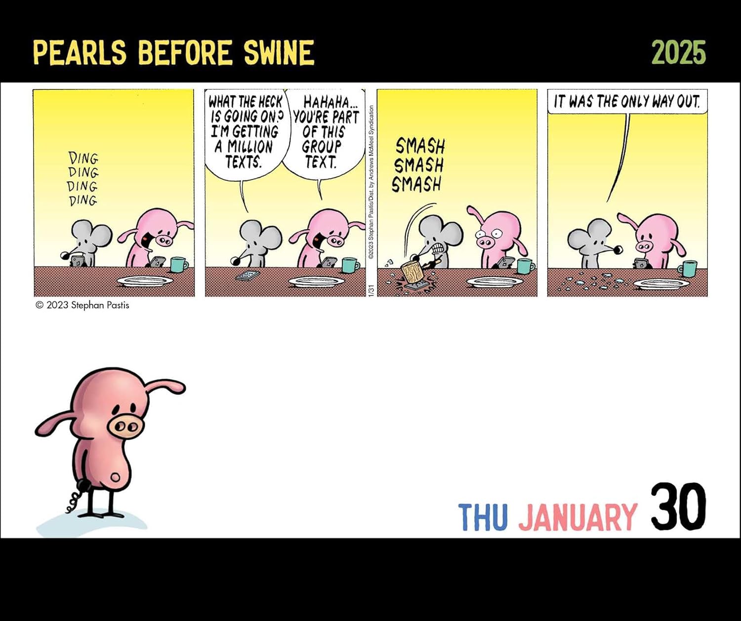 Pearls Before Swine 2025 Day-To-Day Calendar 9781524888978_2