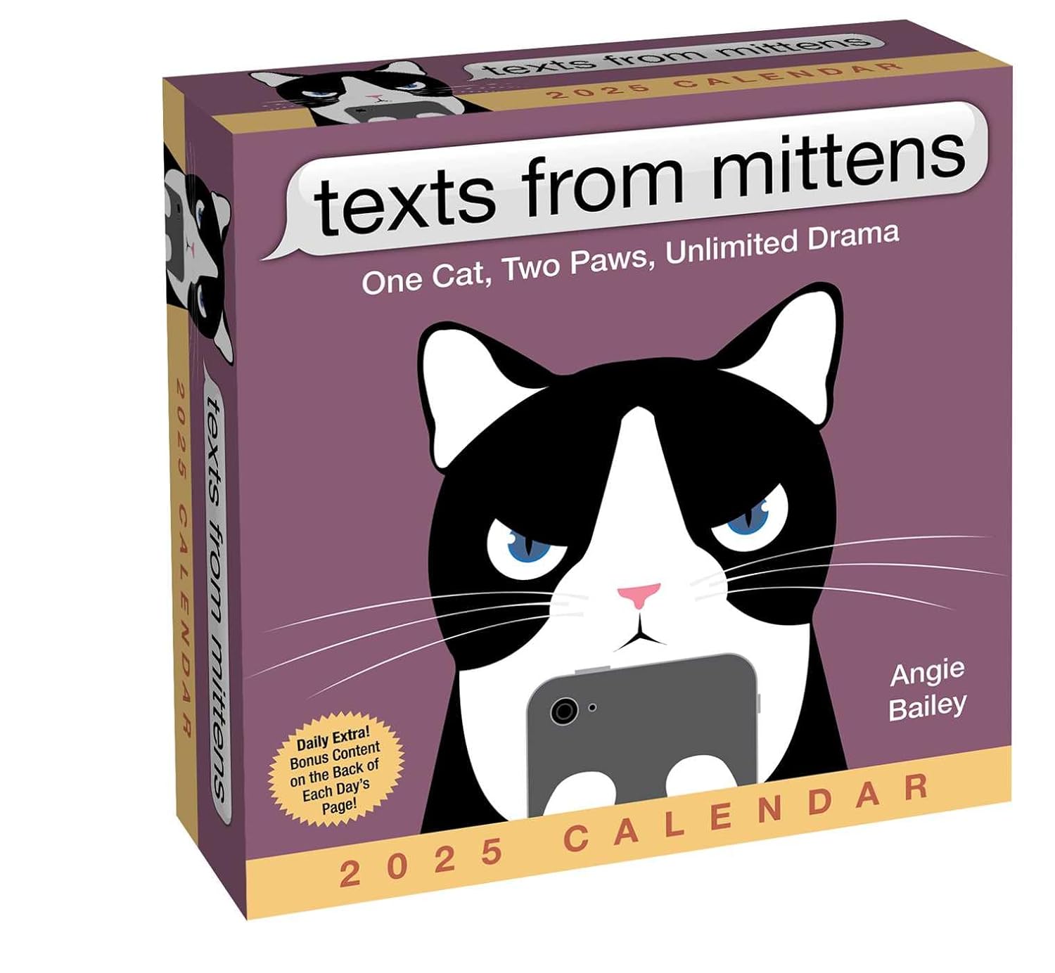 Texts From Mittens The Cat 2025 Day-To-Day Calendar 9781524889500