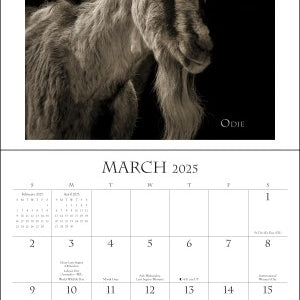 I Am Goat 2025 Wall Calendar 9781524890964_9dc3b555-4702-4328-8496-37bac404904a