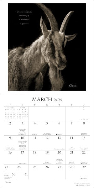 I Am Goat 2025 Wall Calendar 9781524890964_9dc3b555-4702-4328-8496-37bac404904a