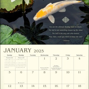 Meditation 2025 Wall Calendar 9781524891039
