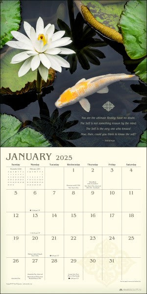 Meditation 2025 Wall Calendar 9781524891039