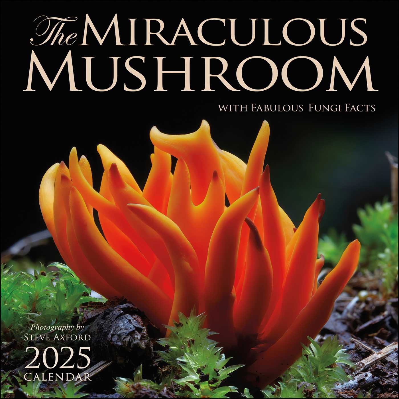 Miraculous Mushroom 2025 Wall Calendar, The 9781524892111