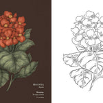 Florography Coloring Book by Roux. Jessica 9781524893910_4