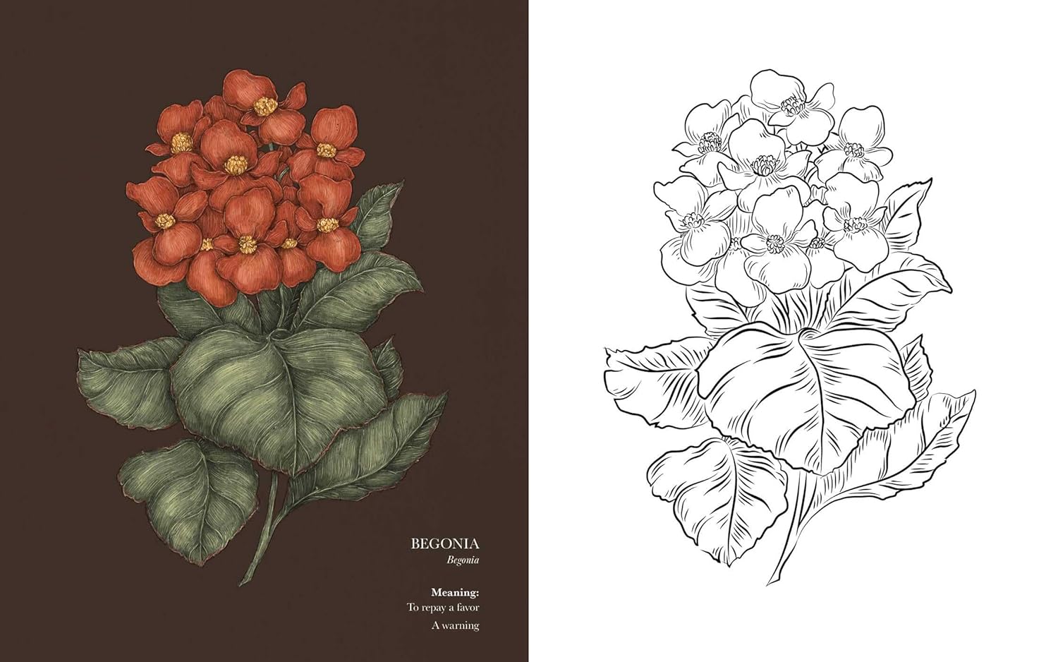 Florography Coloring Book by Roux. Jessica 9781524893910_4