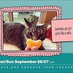 Cats Are Cheaper Than Therapy 2026 Day-To-Day Calendar 9781524896942_3