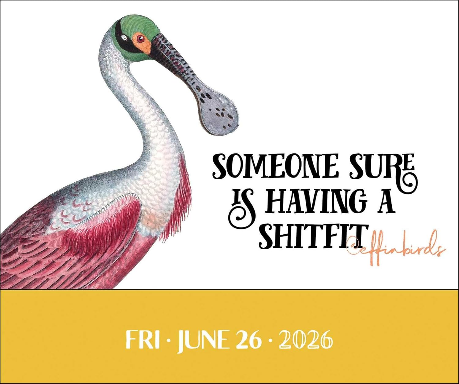 Effin' Birds 2026 Day-To-Day Calendar 9781524898007_2